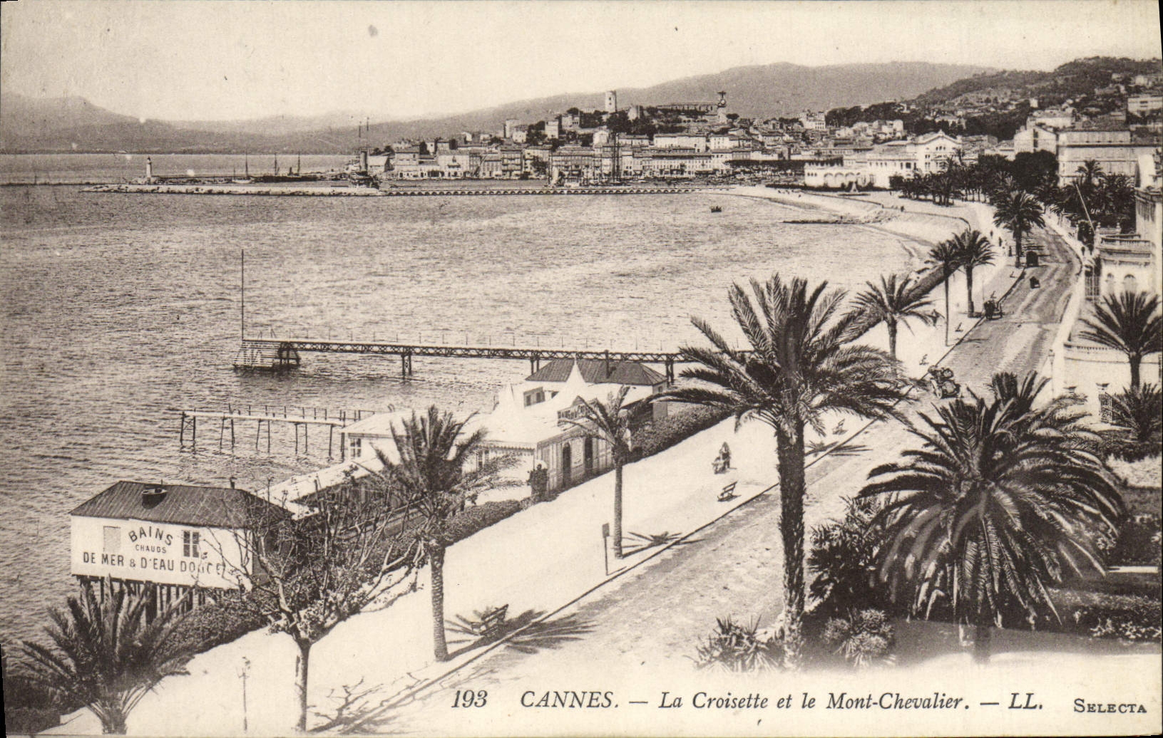 CPA Cannes La Croisette Et Le Mont Chevalier