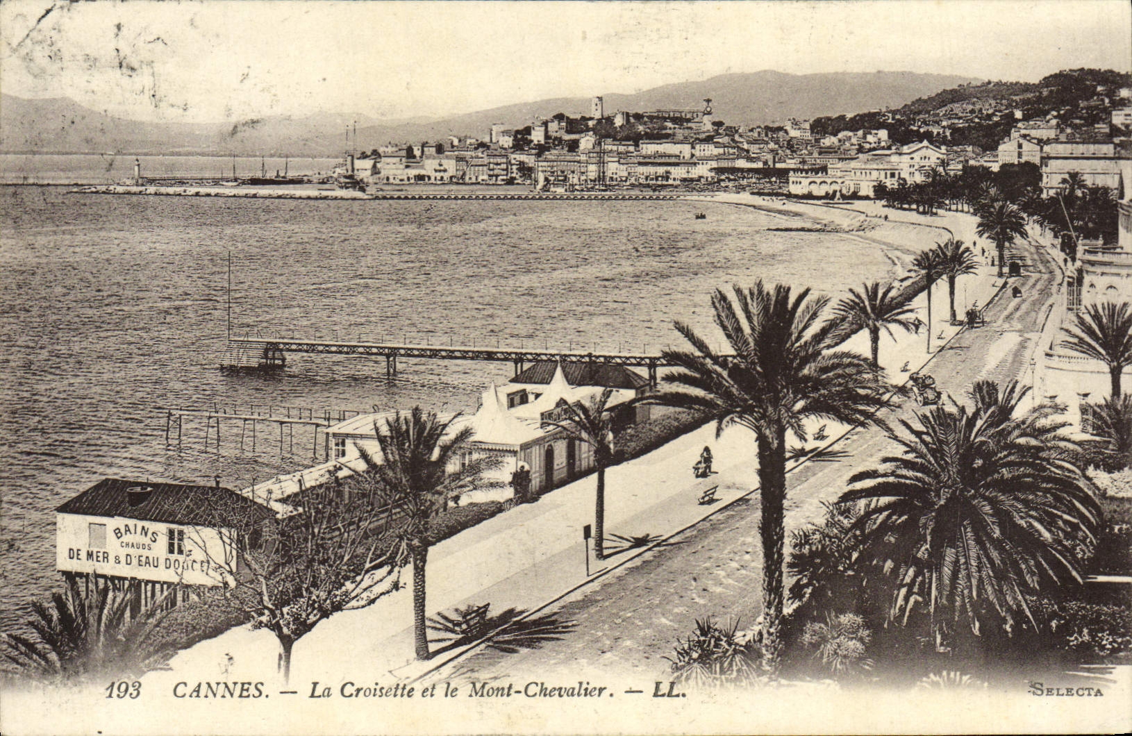 CPA Cannes La Croisette Et Le Mont Chevalier