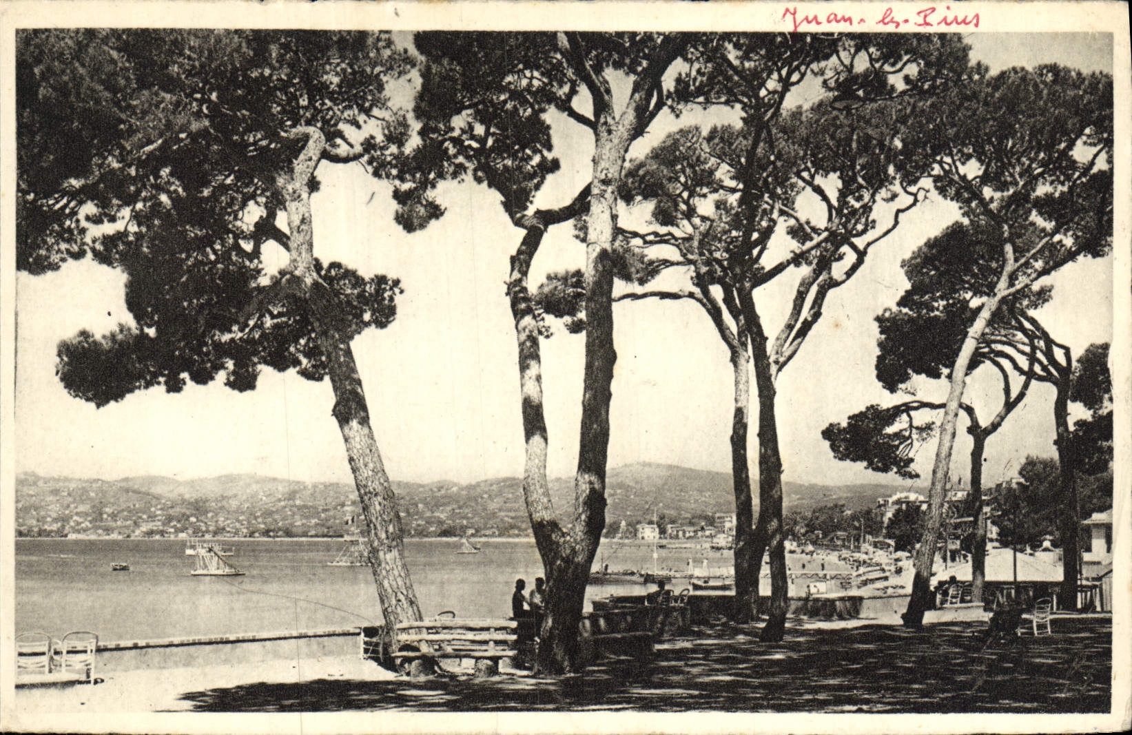 VINTAGE POSTCARD Juan Pines Seen On the Juan Gulf Since the Pine forest