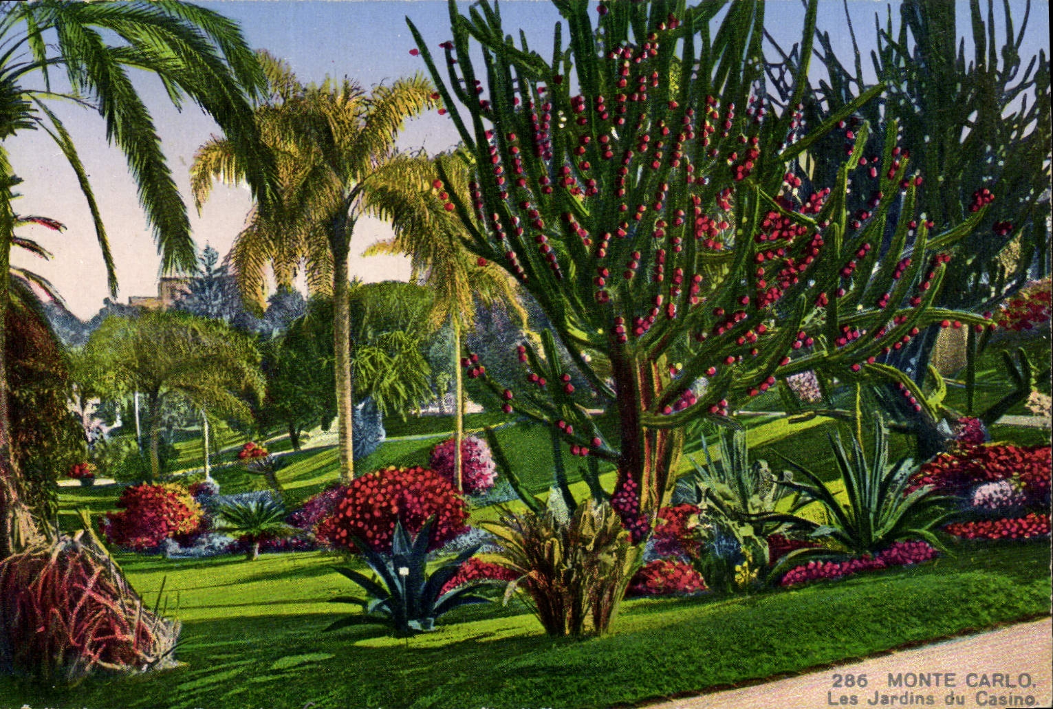 CPA Monte Carlo Les Jardins Du Casino