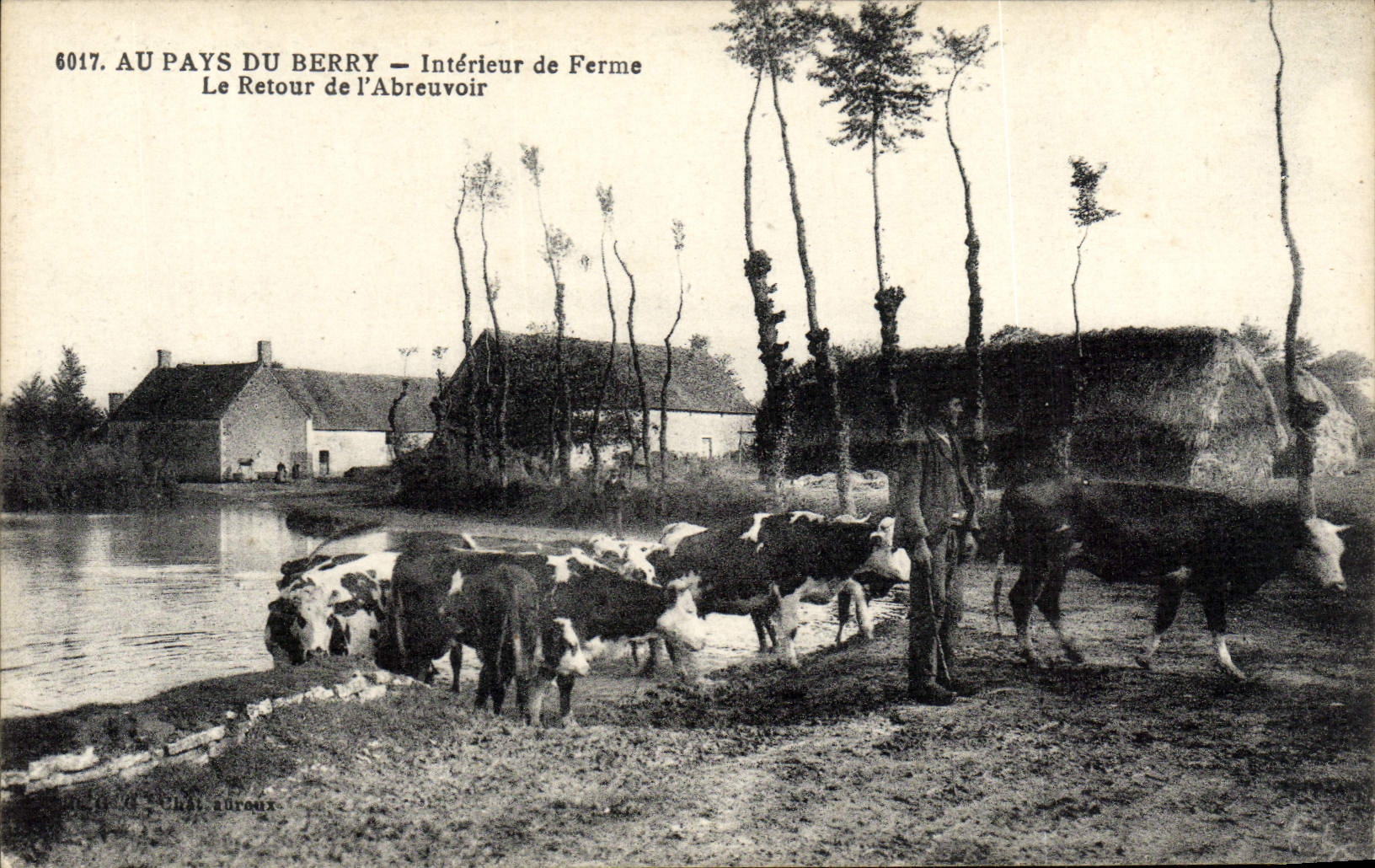 POSTAL de la VENDIMIA con el país de la baya interior de la granja la vuelta de las vacas del folklore de I Abreuvoir