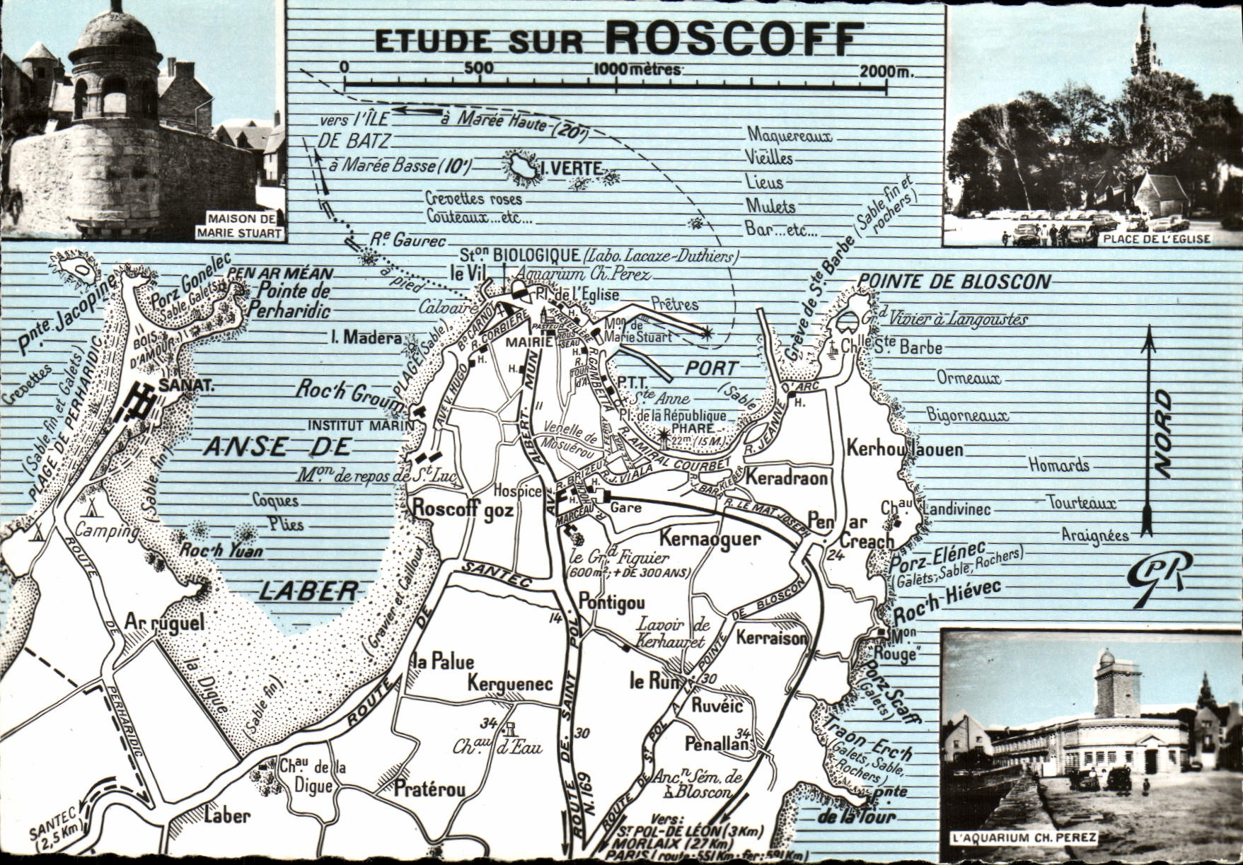 MODERN CARD Roscoff