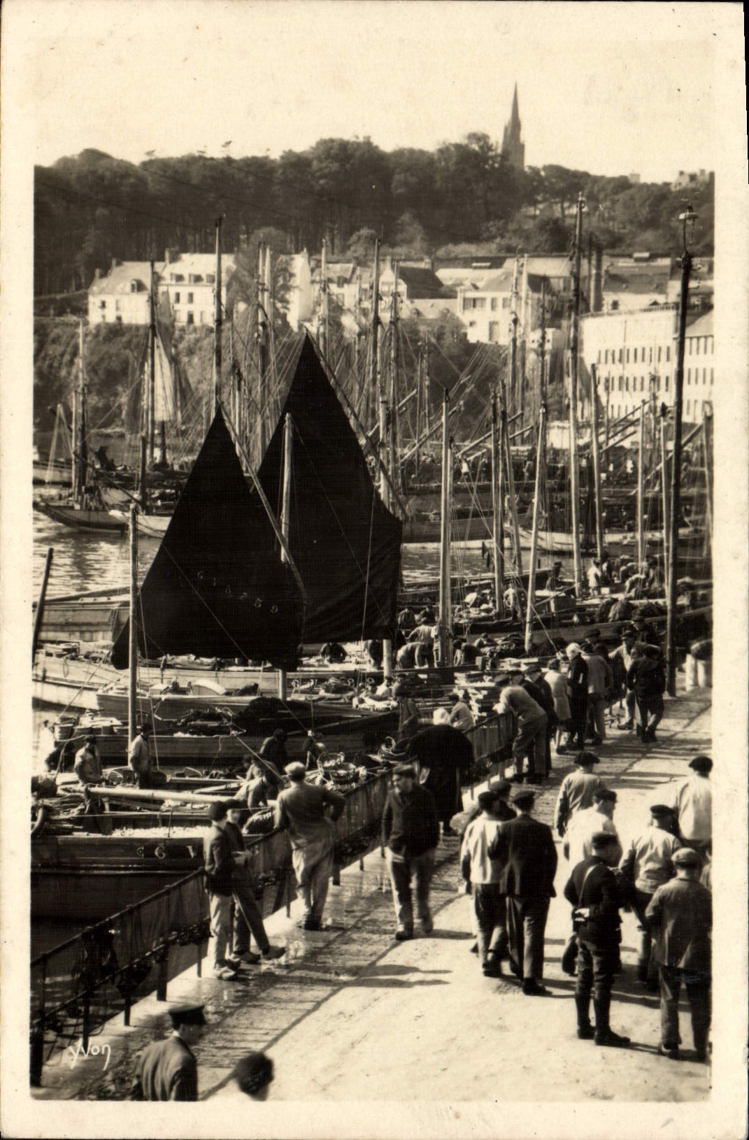 MODERN CARD Douarnenez the Port Boats