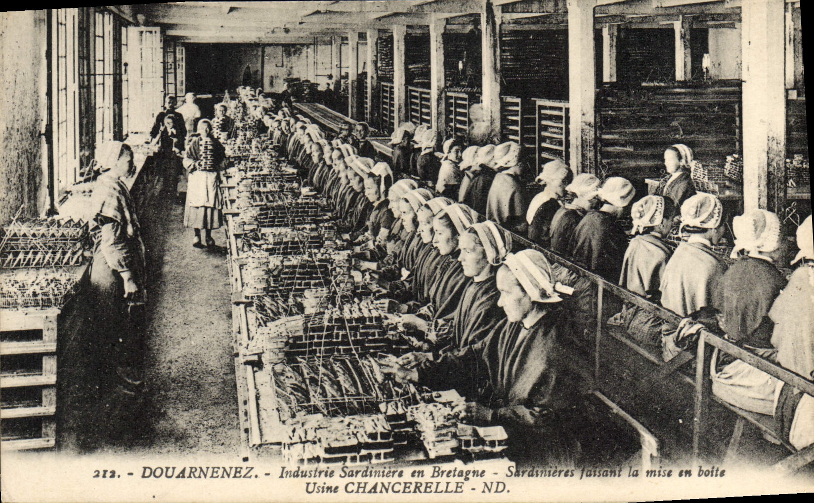 VINTAGE POSTCARD Douarnenez Industrie Sardiniere in Brittany Sardinieres making the setting limps about it Usine Chancerelle TOP