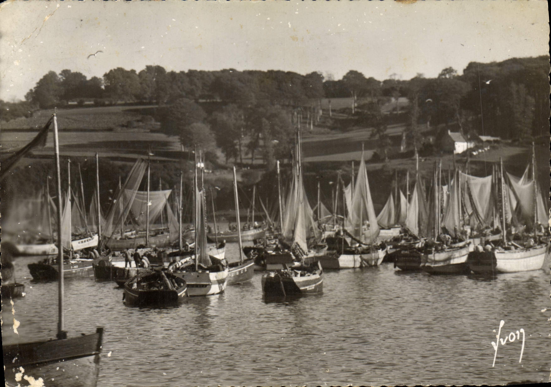 MODERN CARD Douarnenez Sardine boats with the port Boats