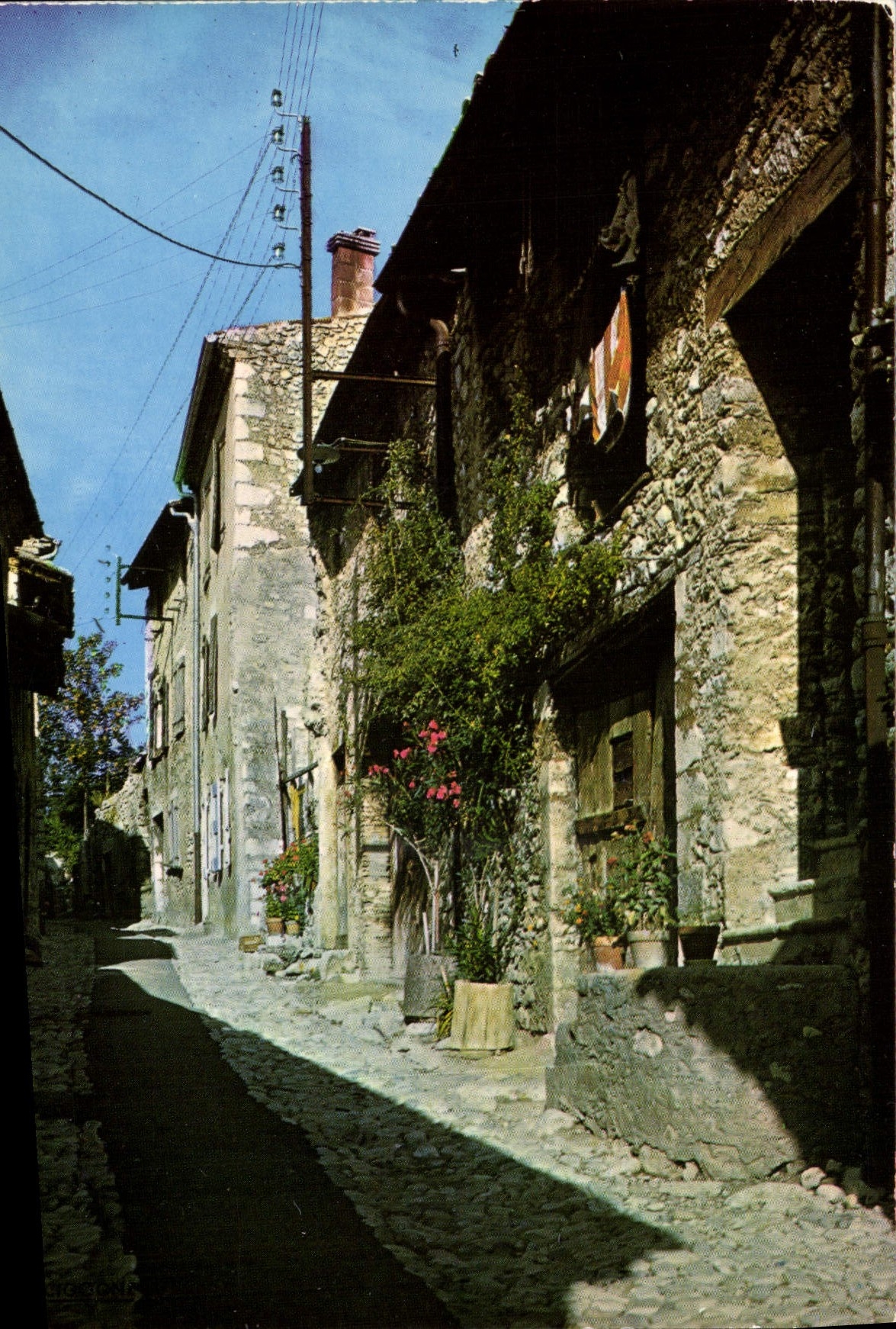 MODERN CARD Die Old woman street