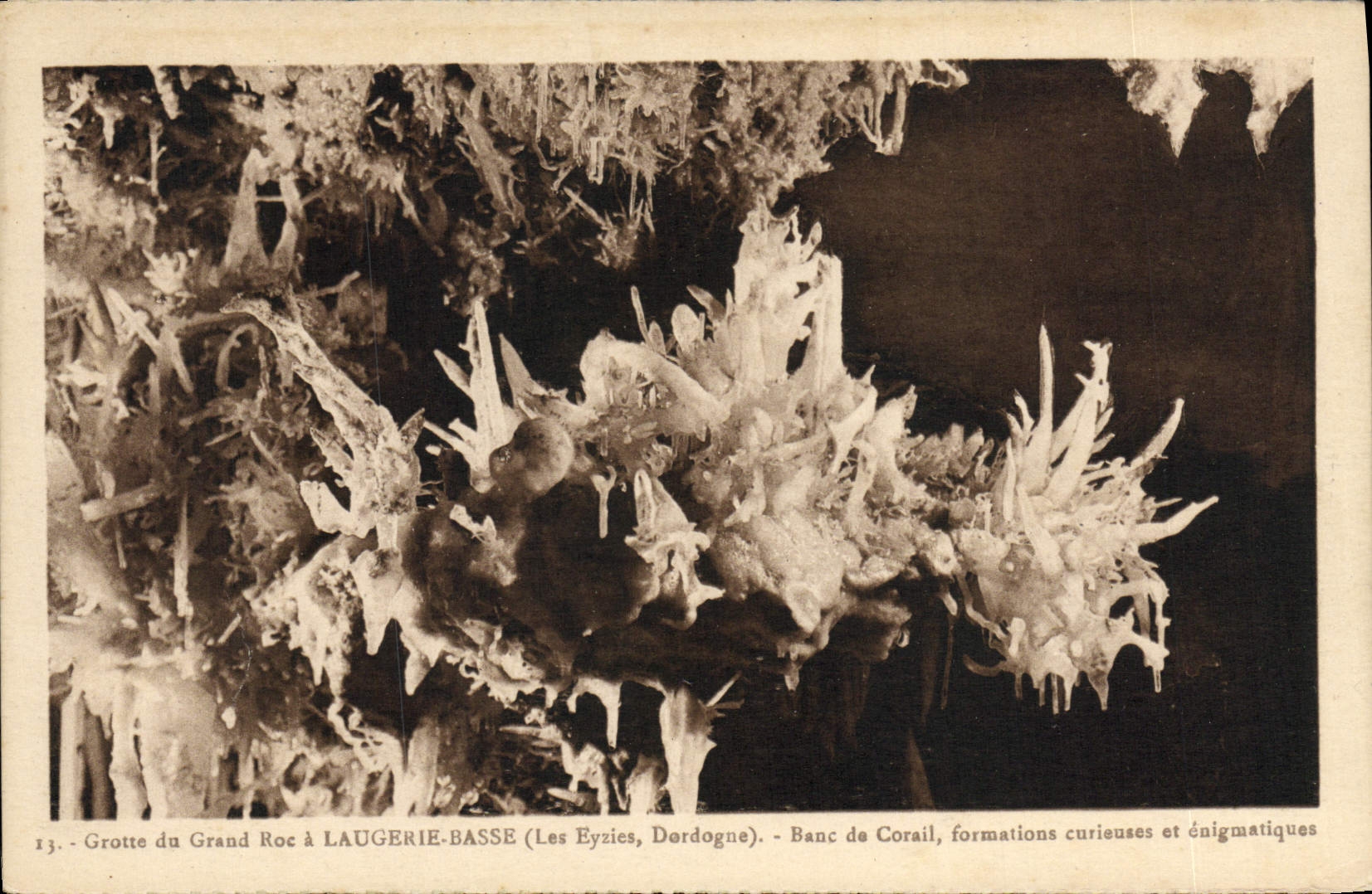 CPA Grotte du Grand Roc Laugerie Basse Banc de Corail