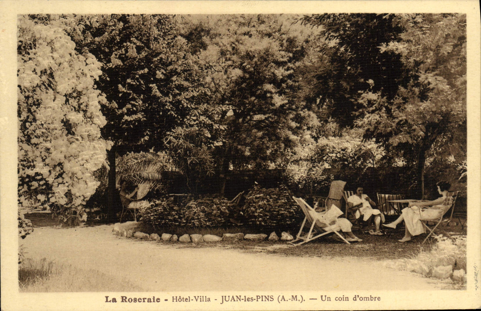 CPA La Roseraie Hotel Villa Juan Les Pins Un coin d'ombre