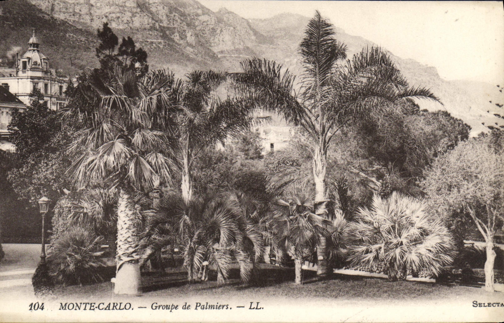 CPA Mont Carlo Groupe de Palmiers