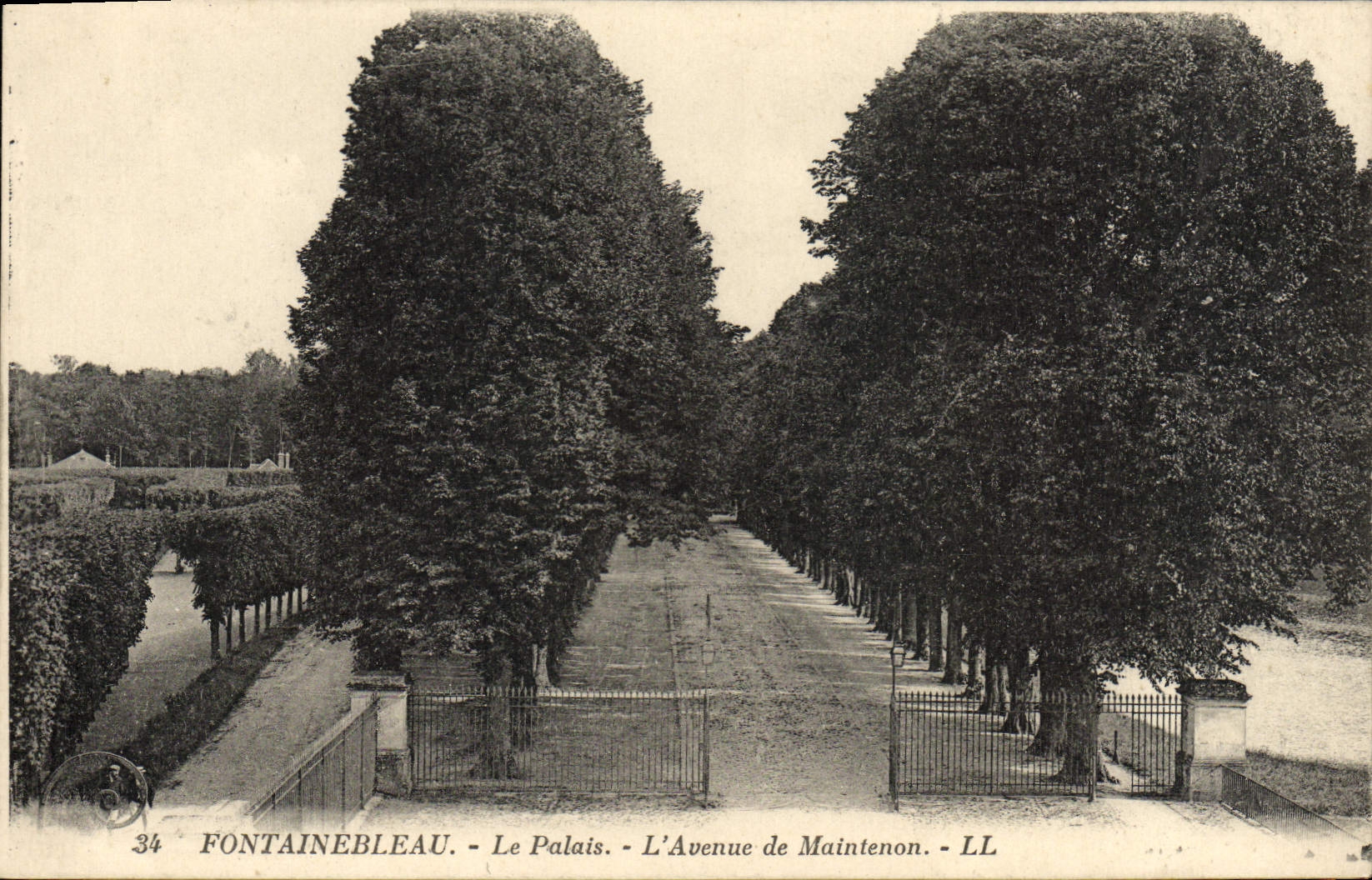 VINTAGE POSTCARD Fontainebleau the Palate the Avenue of Maintenon