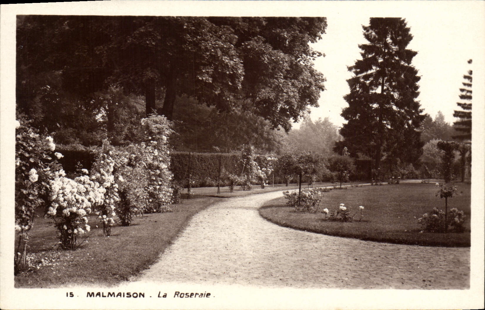 CPA Malmaison La Roseraie