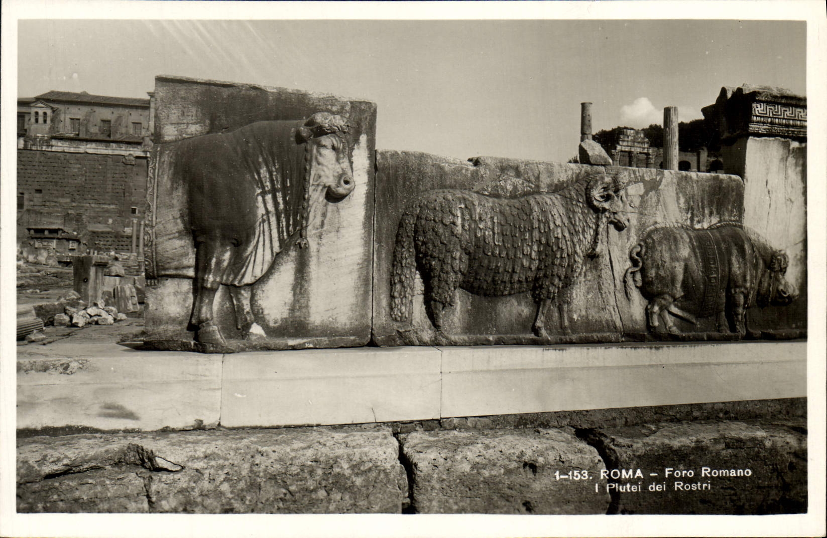 Romano Pluti Dei Rostri de Roma Foro de la POSTAL de la VENDIMIA