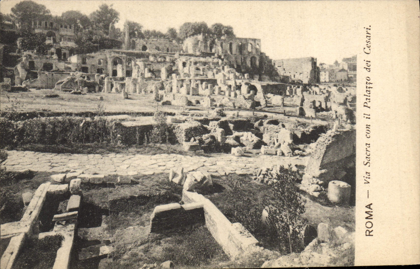 CPA Roma Via Sacra Con il Palazzo Dei Cesari