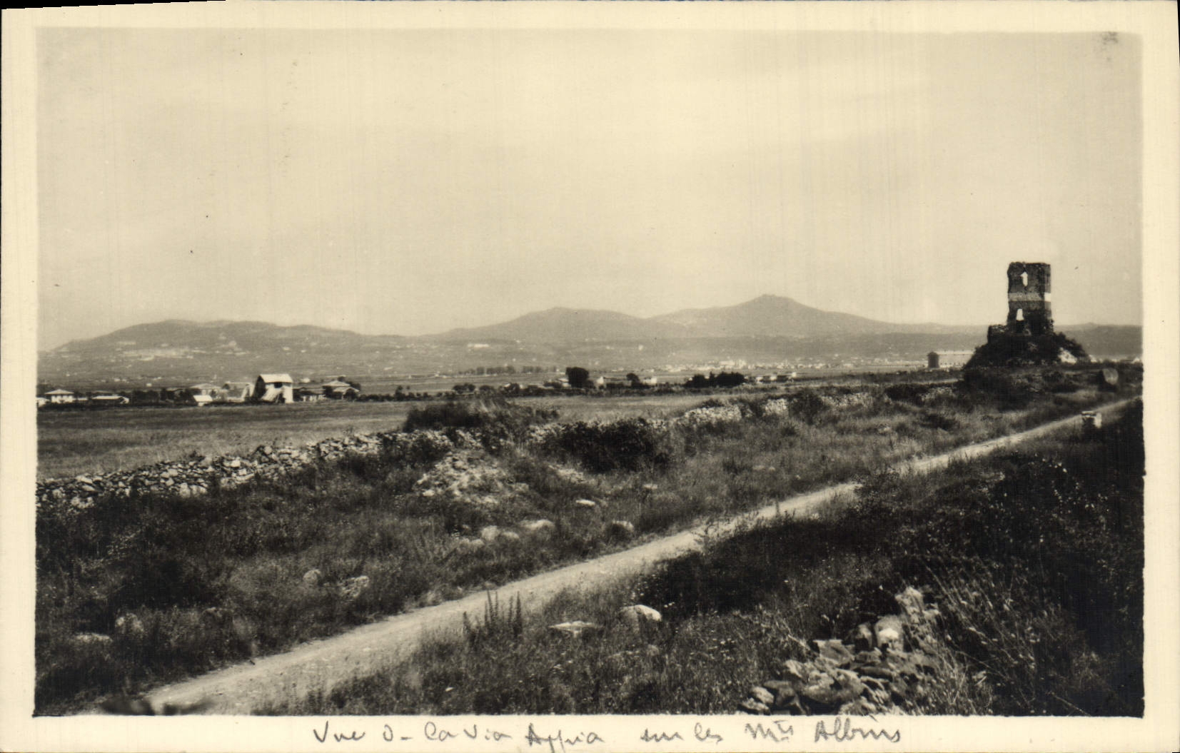 POSTAL Roma Campaña Romana E Monti Albani de la VENDIMIA