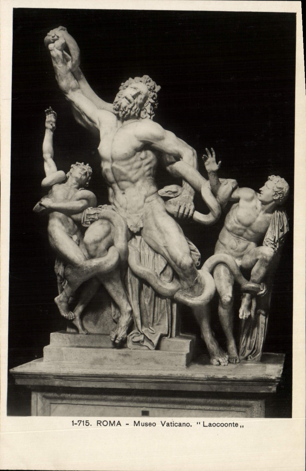POSTAL Roma Museo Vaticano Laocoonte de la VENDIMIA