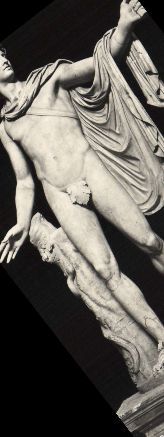 CPA Roma Museo Vaticano Apollo Belvedere