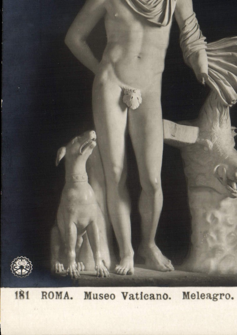 Perro de Roma Museo Vaticano Meleagro de la POSTAL de la VENDIMIA