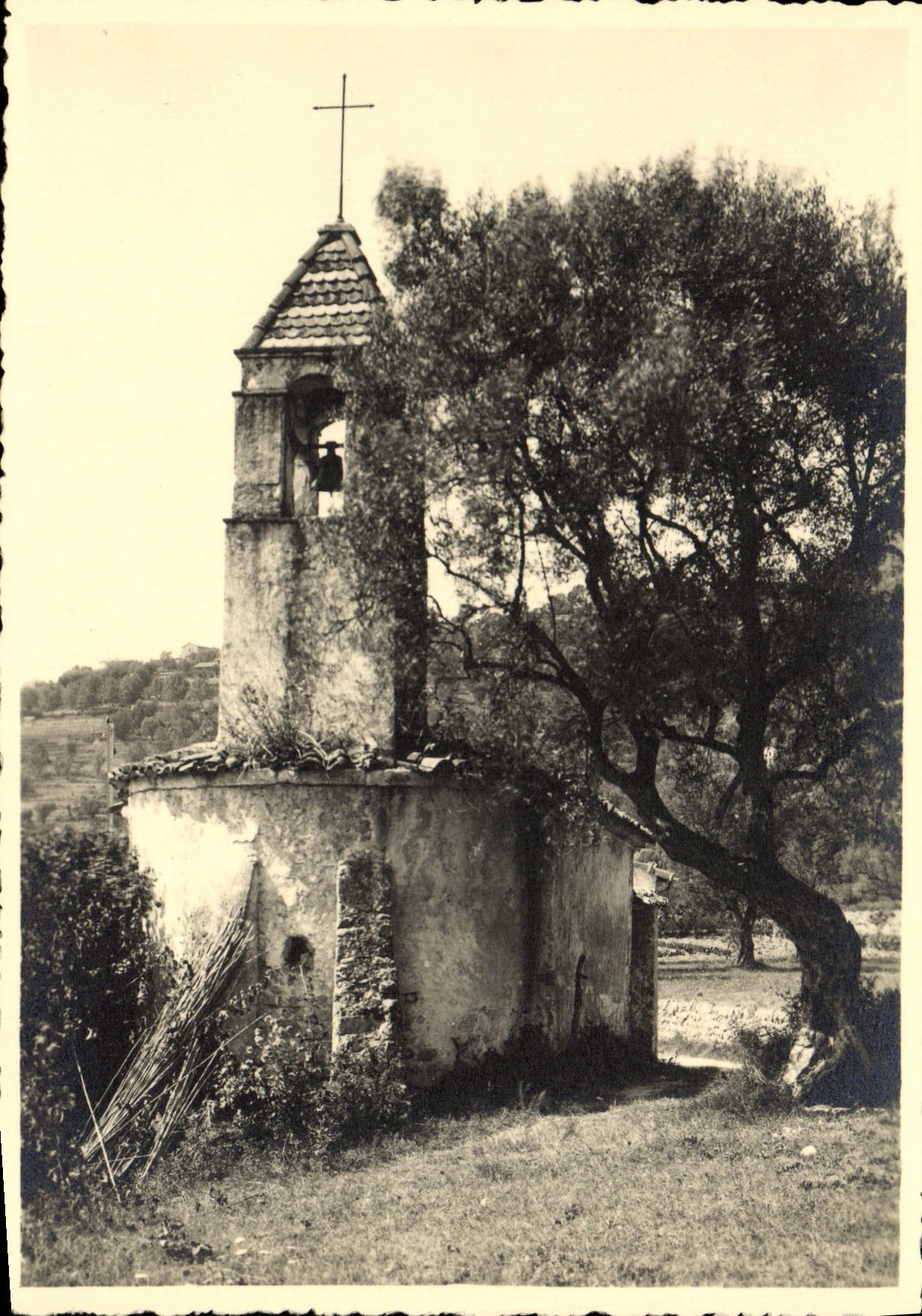 CPM Dans la campagne provencale Chapelle Provence