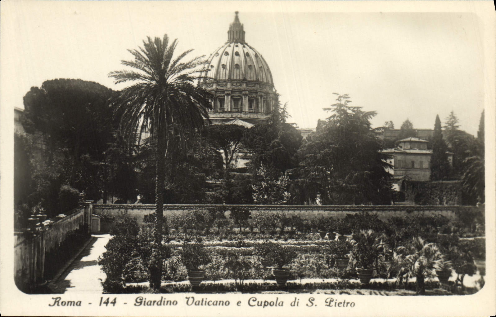 POSTAL Roma Giardino Vaticano Cupola di S Pedro de la VENDIMIA