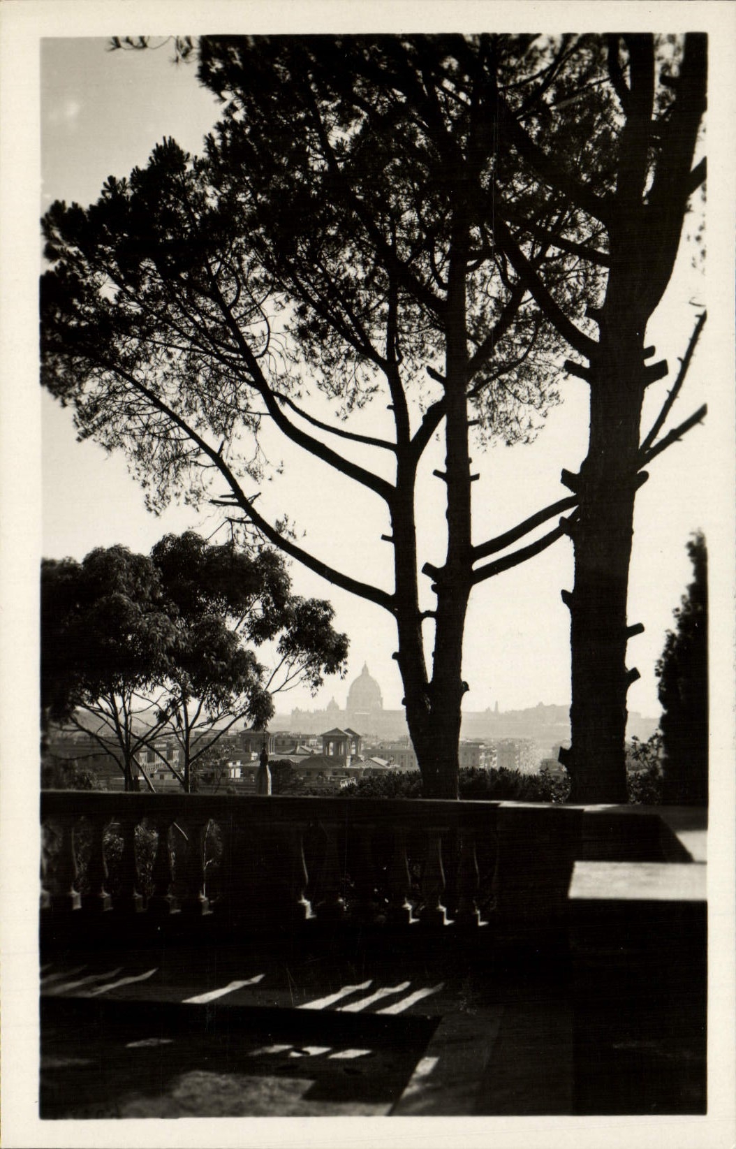 POSTAL Roma dal Pincio de la VENDIMIA