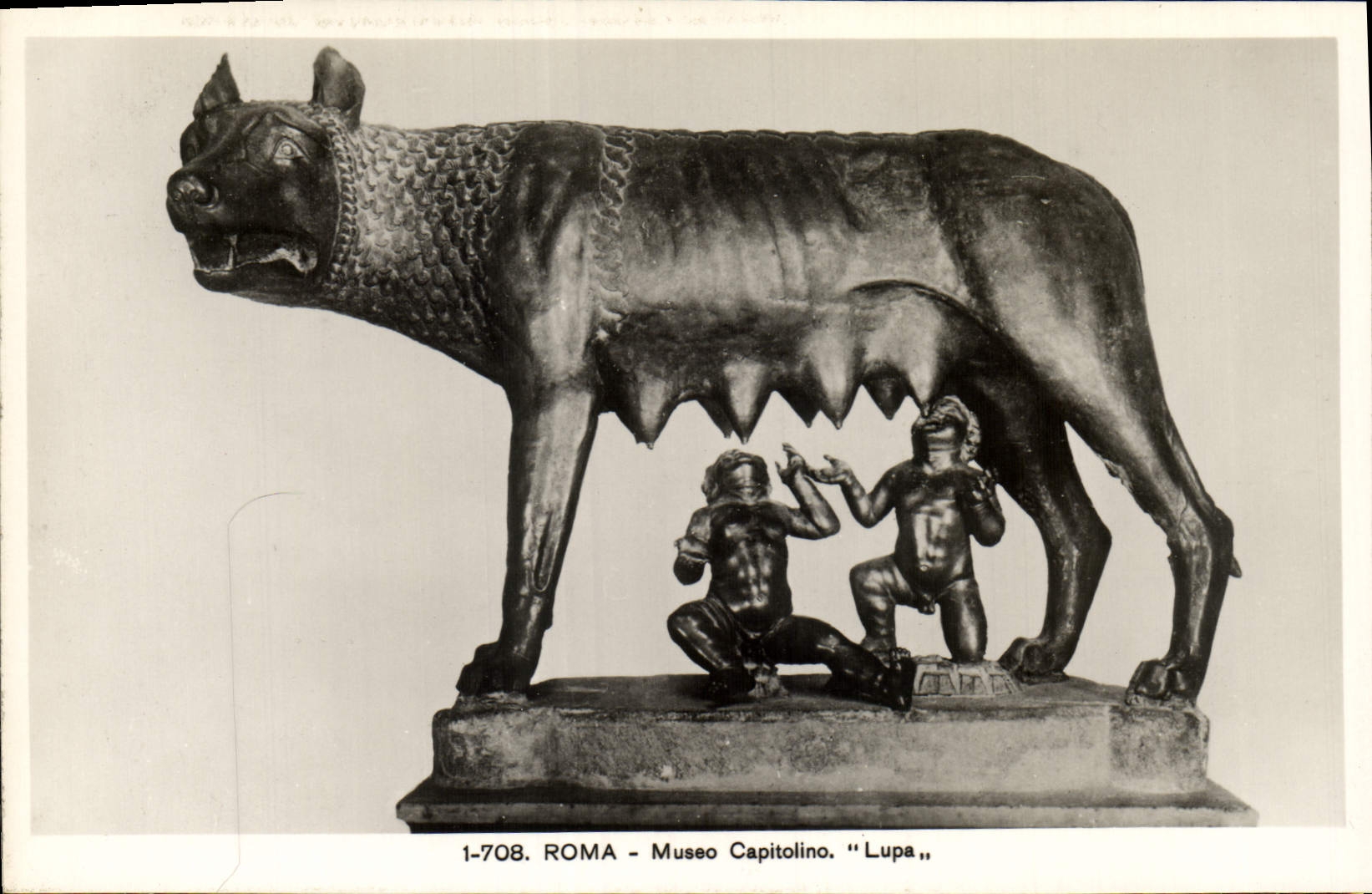 CPA Roma Museo Capitolino Lupa Loup Louve