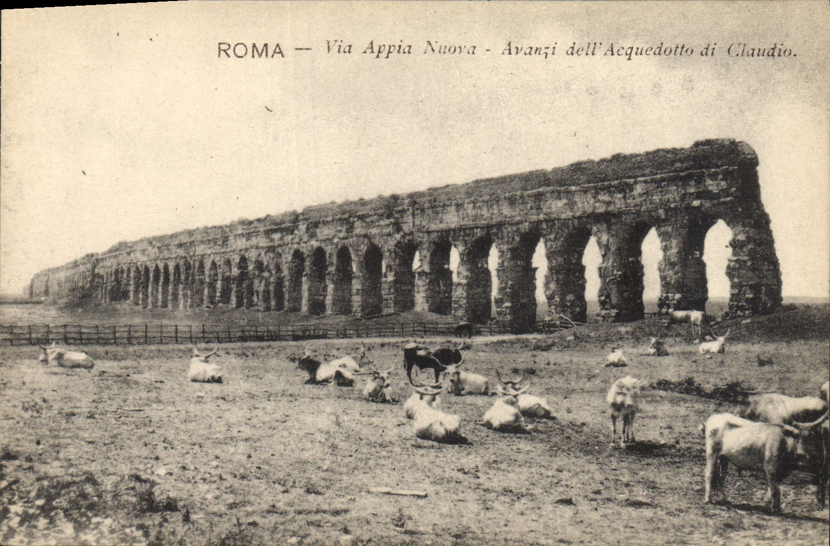 POSTAL Roma de la VENDIMIA vía el della Acquedotto di Claudo Oxen de Appia Nuova Avanzi