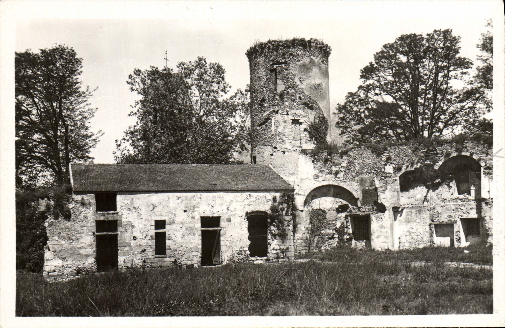 MODERN CARD Blandy Tours the Museum and Turn of the Treasury