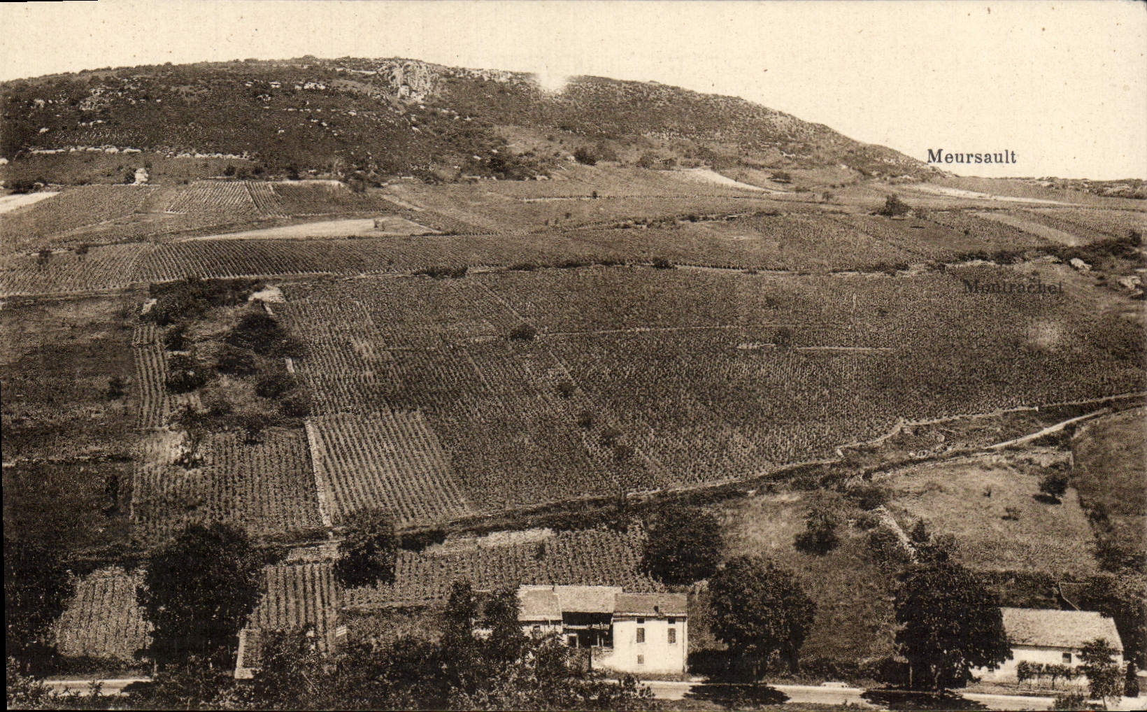 CPA Gamay Coteau des Chatenier