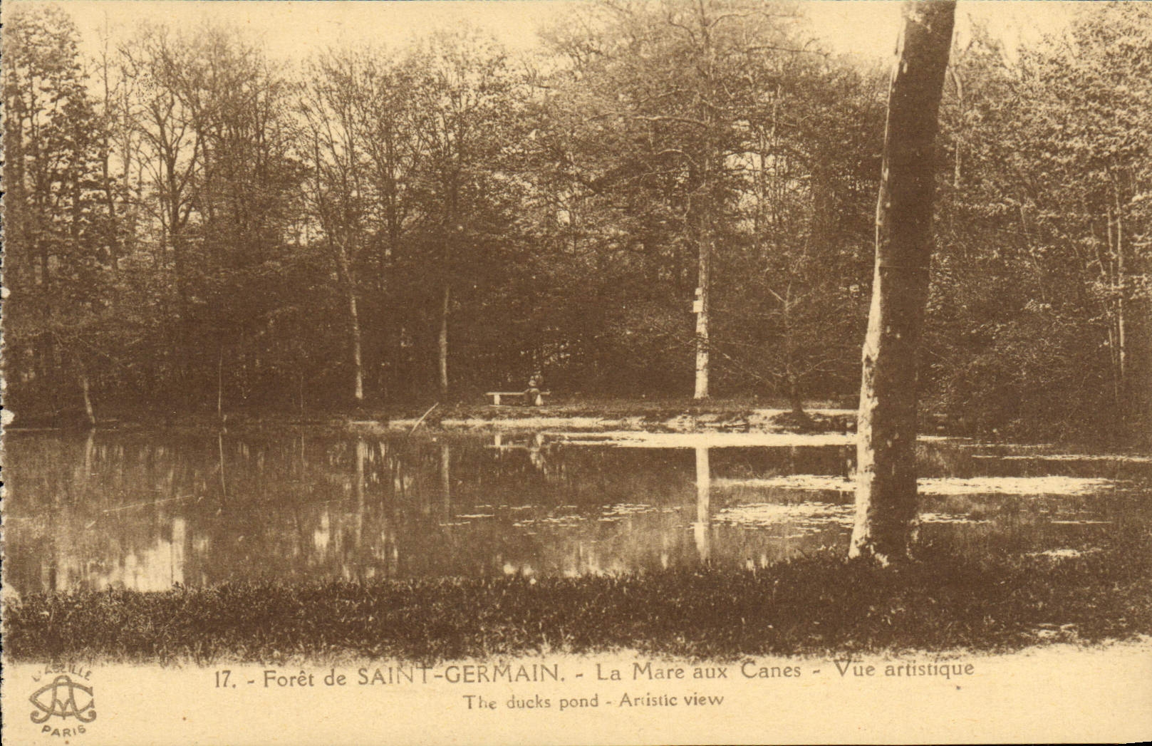 CPA Foret de Saint Germain en Laye La Mare aux Canes Vue artistique