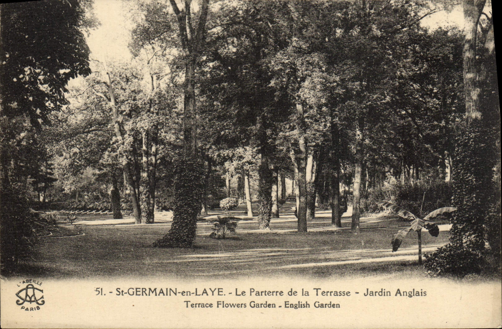 VINTAGE POSTCARD Saint Germain in Bush hammer the Floor of the Terrace English Garden Terrace Flowers Garden