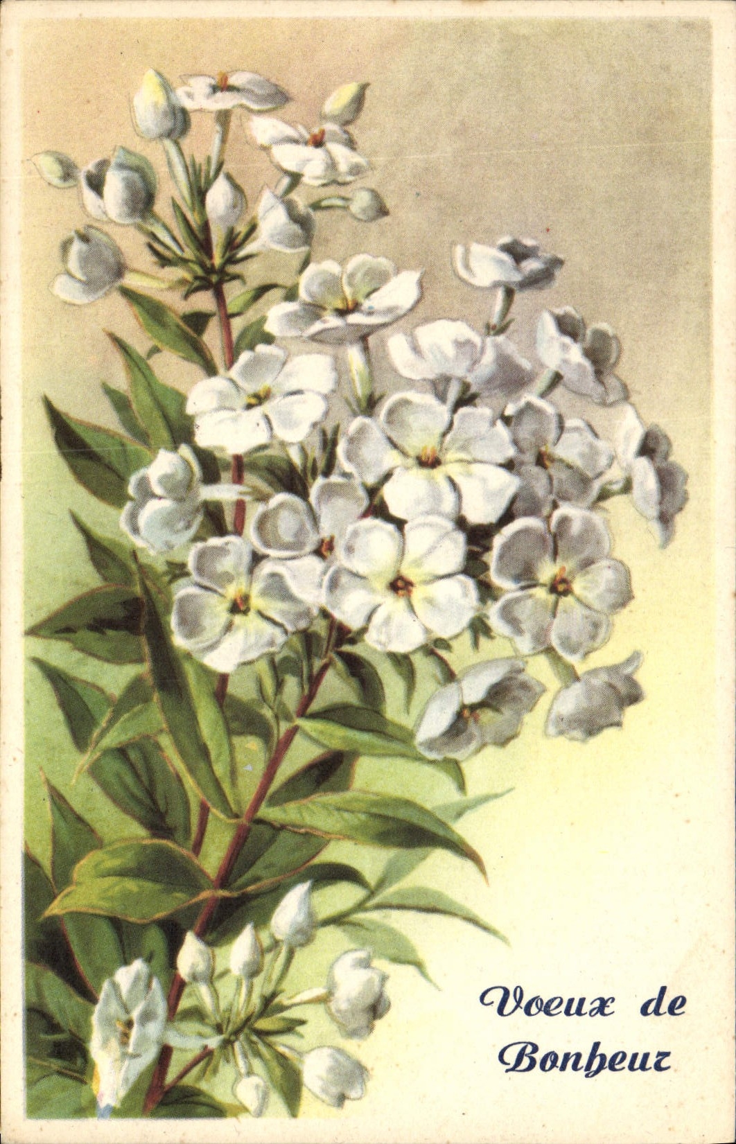 CPA Voeux de Bonheur Fleurs