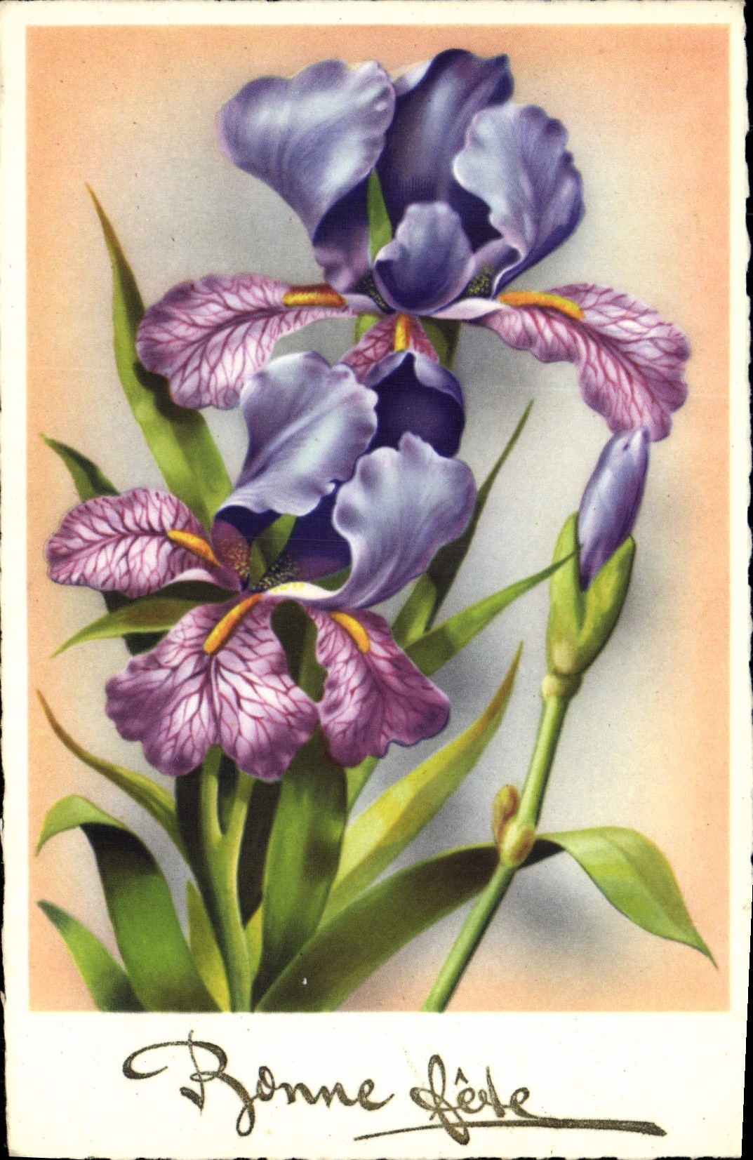 CPA Fantaisie Fleurs