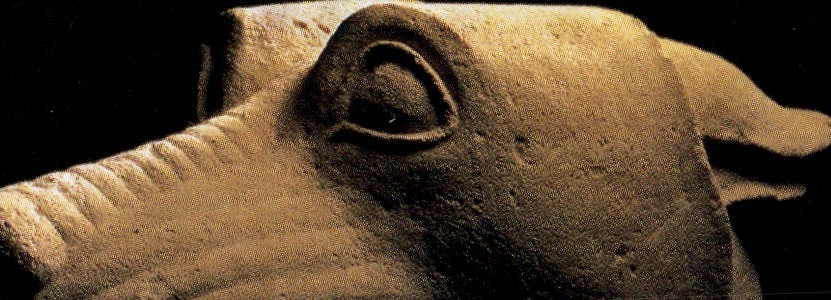 MODERN CARD Iberes Grand Palais 1998