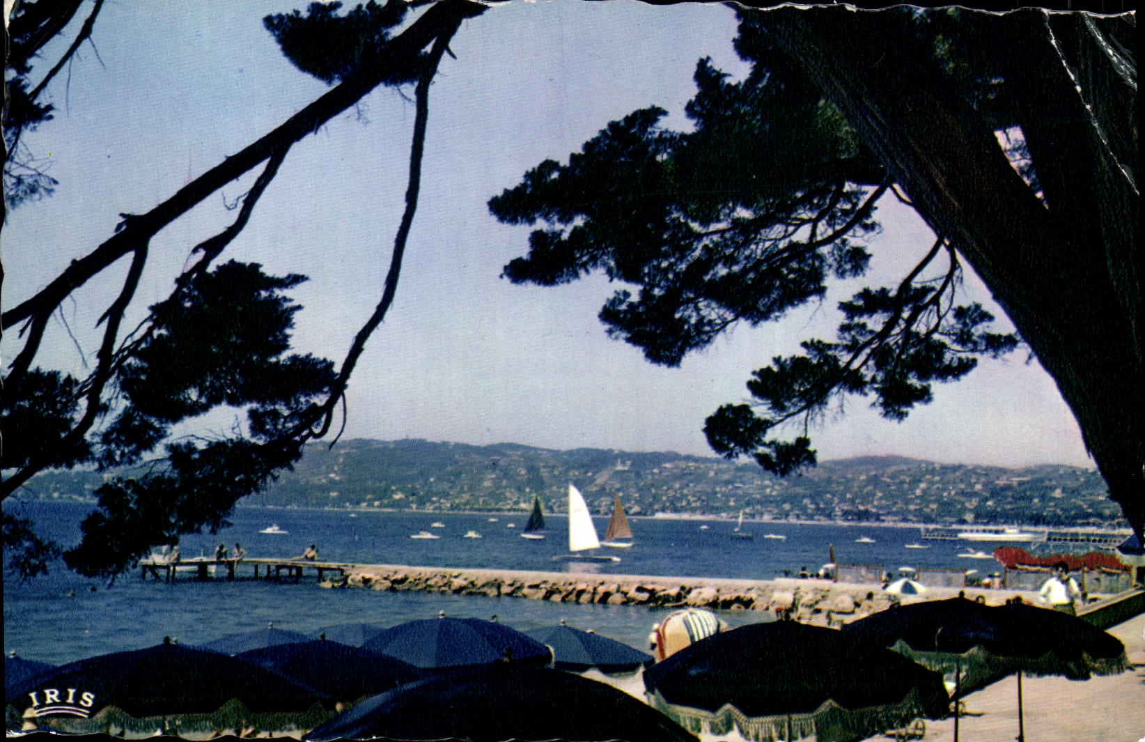 CPM Juan Les Pins Une echappee sur la Plage et le golfe