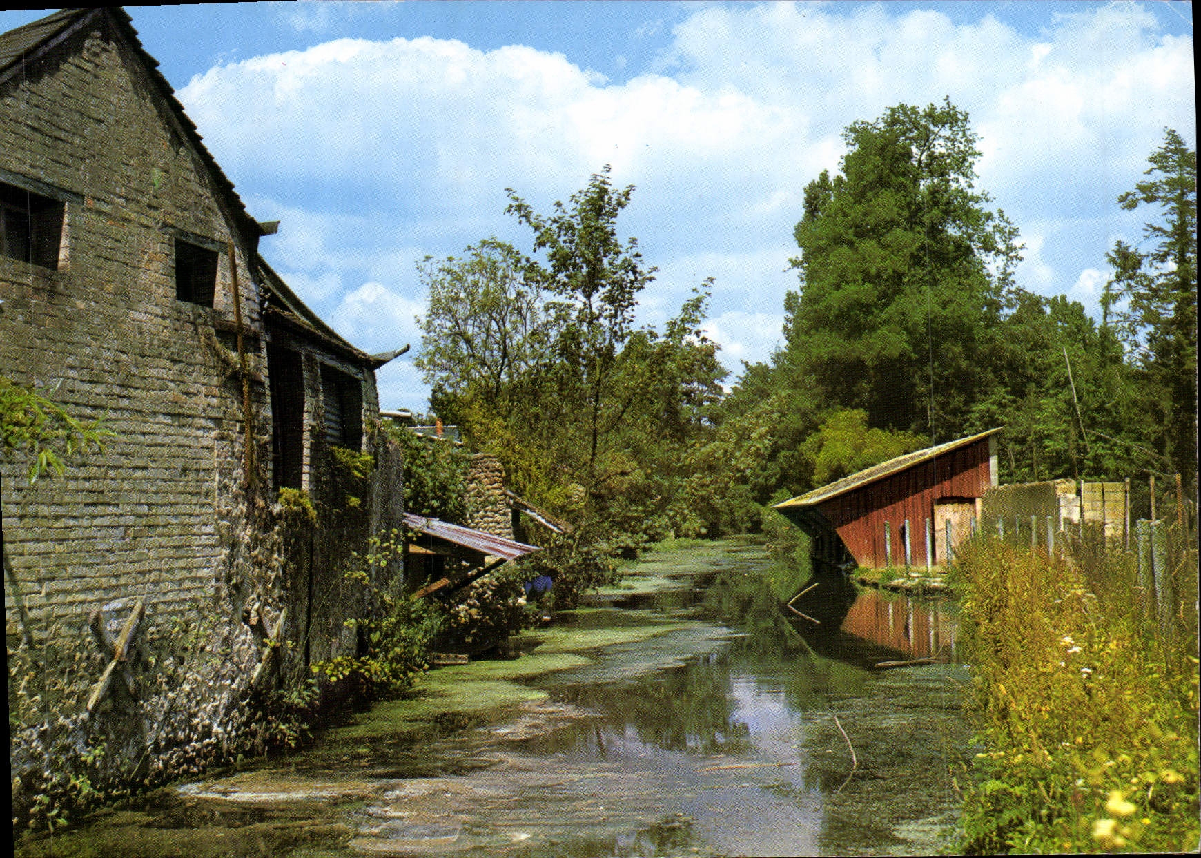 MODERN CARD Bonnetable Tripoulin