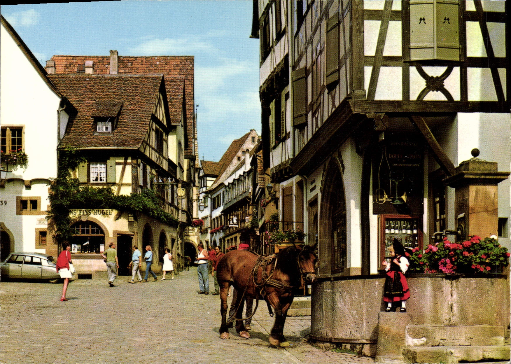 MODERN CARD Riquewihr Horse Coach