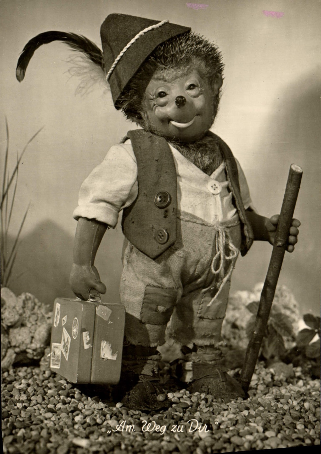 MODERN CARD Hedgehog