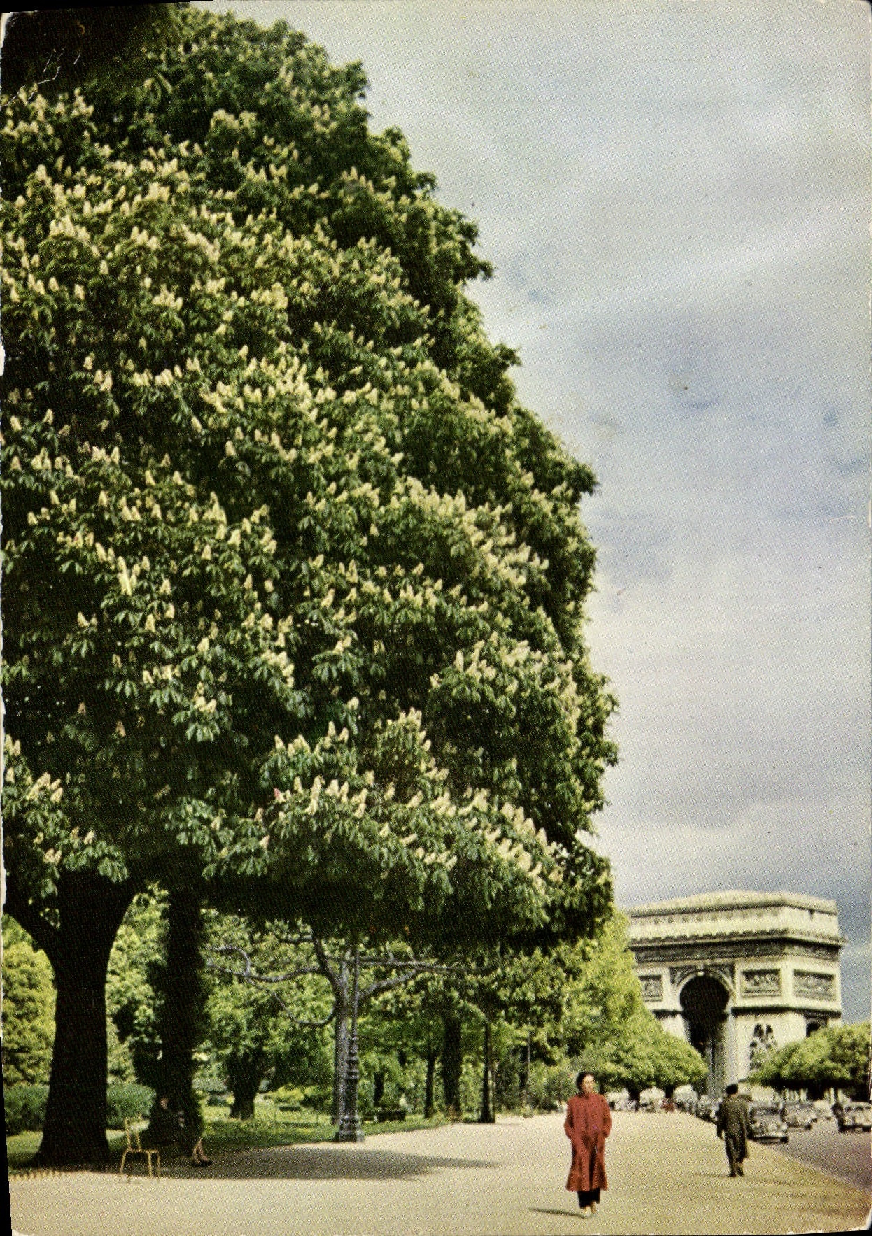 CPM Paris Printemps a Paris Avenue Foch