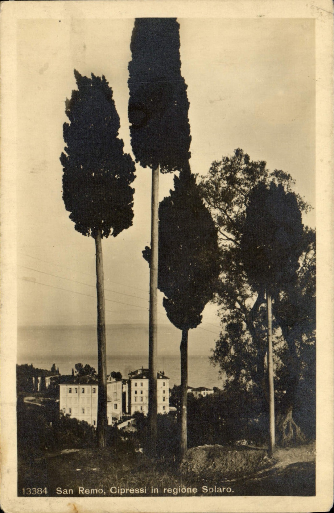 VINTAGE POSTCARD San Remo Cipressi in Regione Solaro