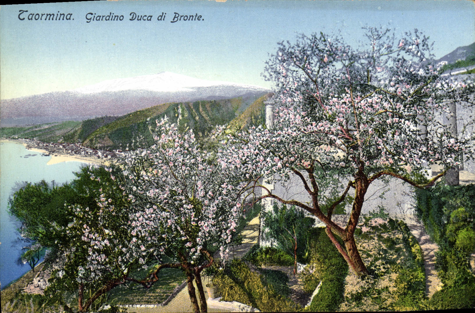 VINTAGE POSTCARD Taormina Giardino Duca Di Bronte