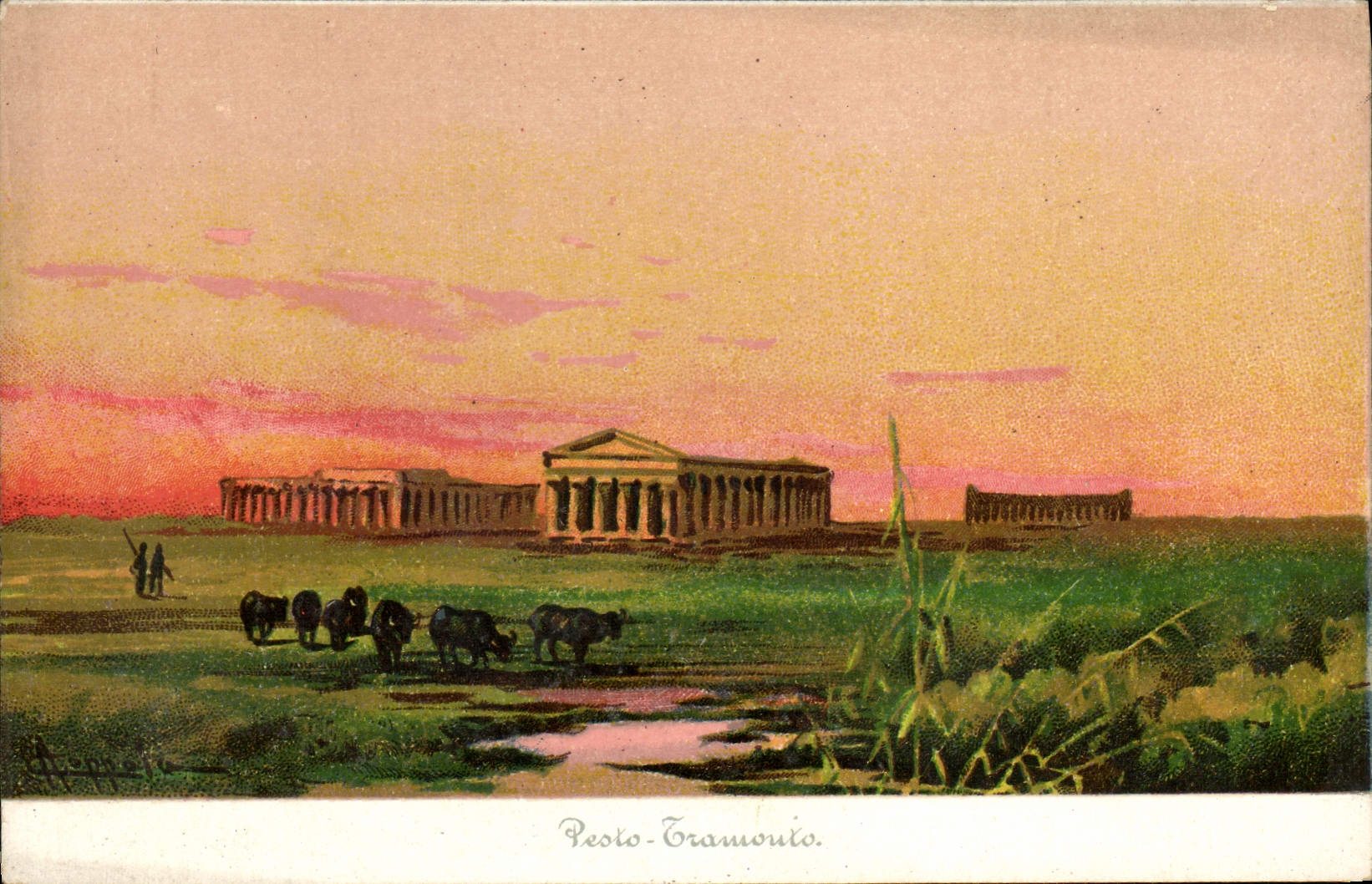 VINTAGE POSTCARD Pesto Tranionto