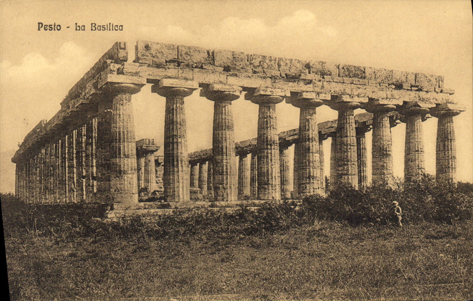 VINTAGE POSTCARD Pesto Basilicia