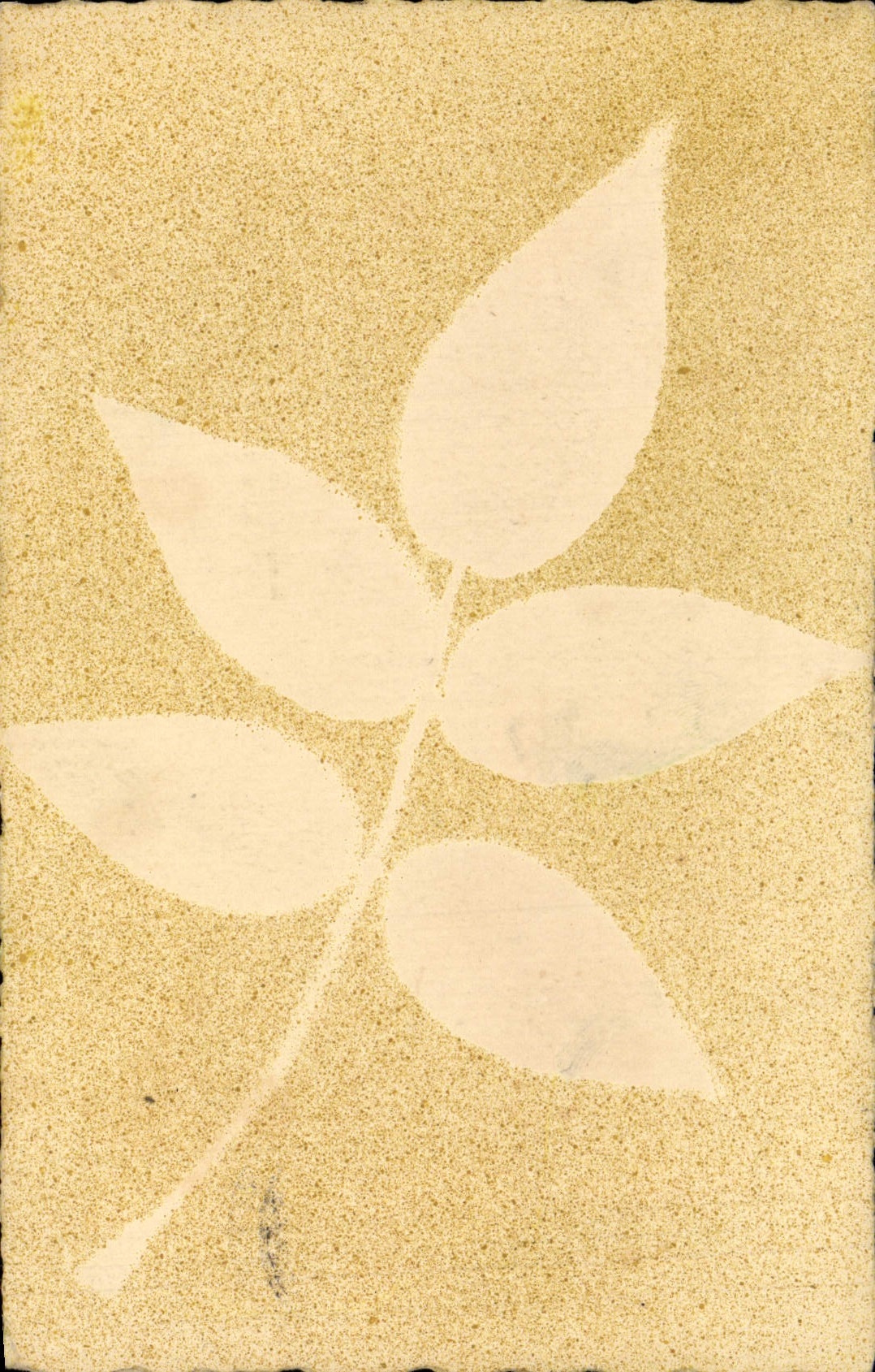 CPA Fantaisie Fleurs