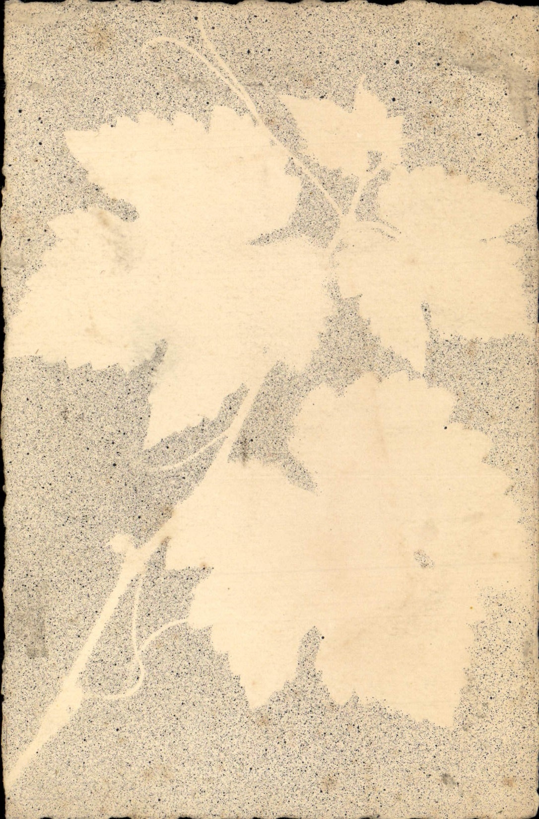 CPA Fantaisie Fleurs