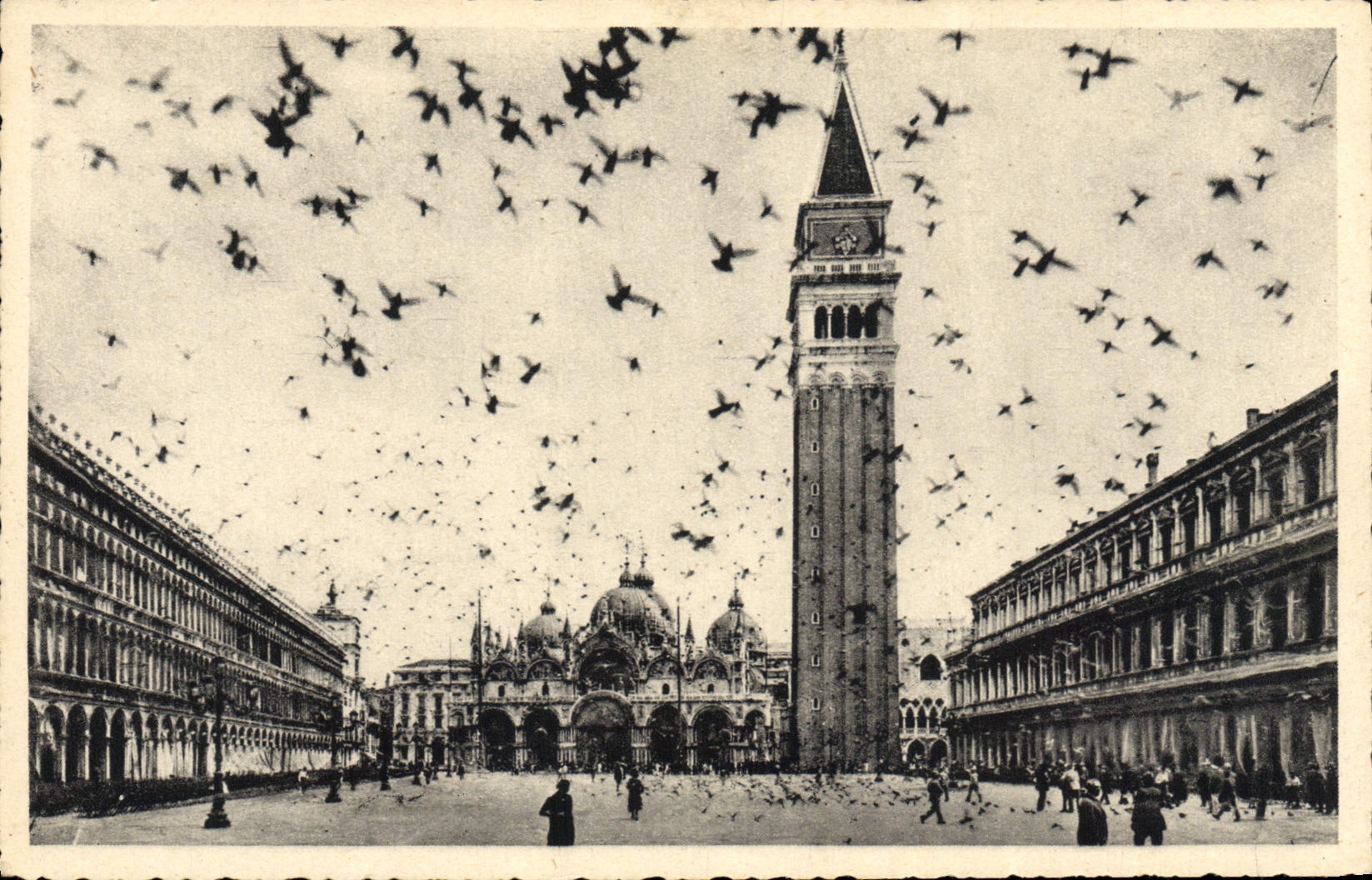VINTAGE POSTCARD Venezia Plazzo S Marco E Campanite Places S Marc And Campanile