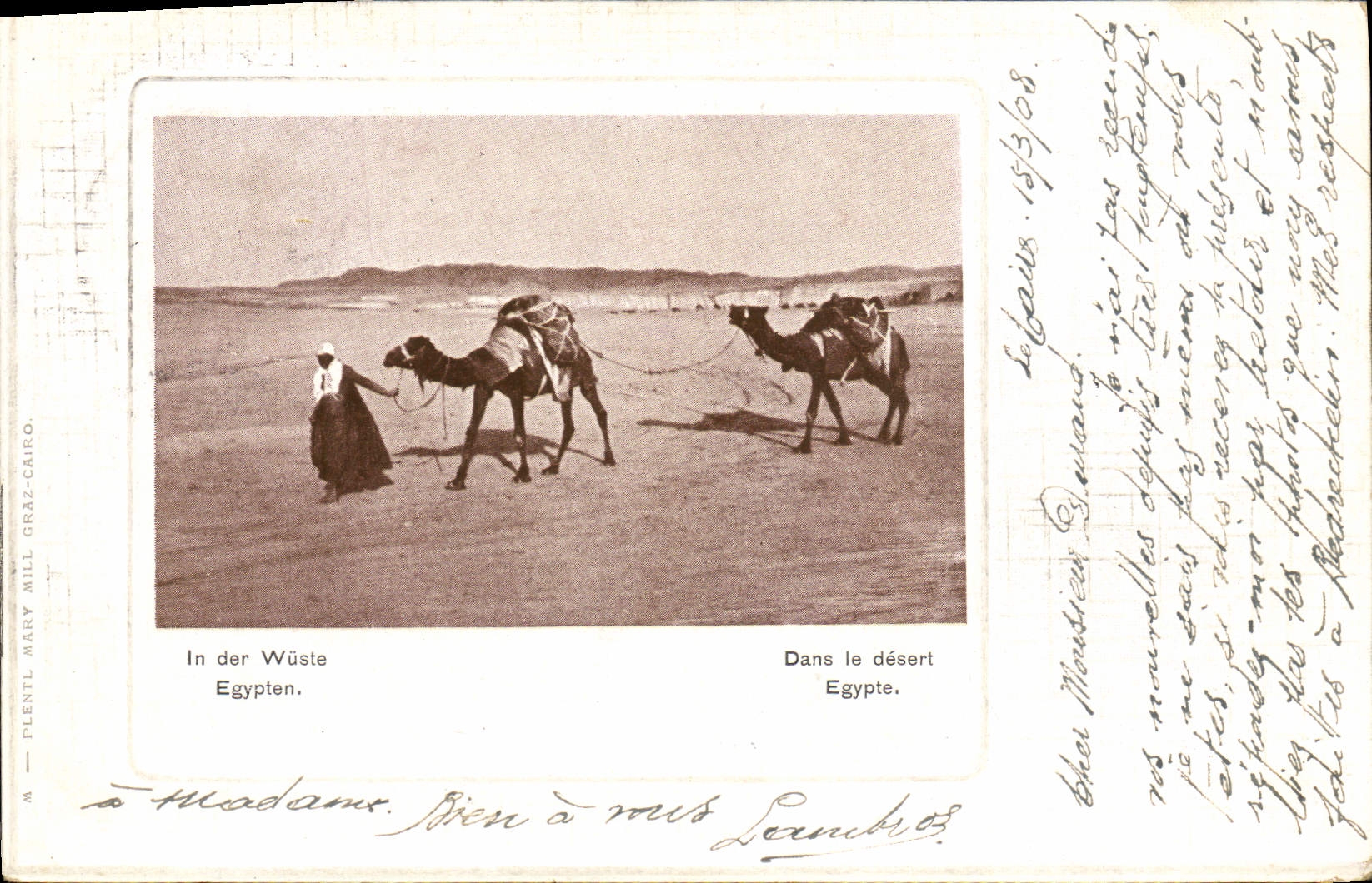 CPA In Der Wuste Egypten Dans Le Desert Egypte Chameaux