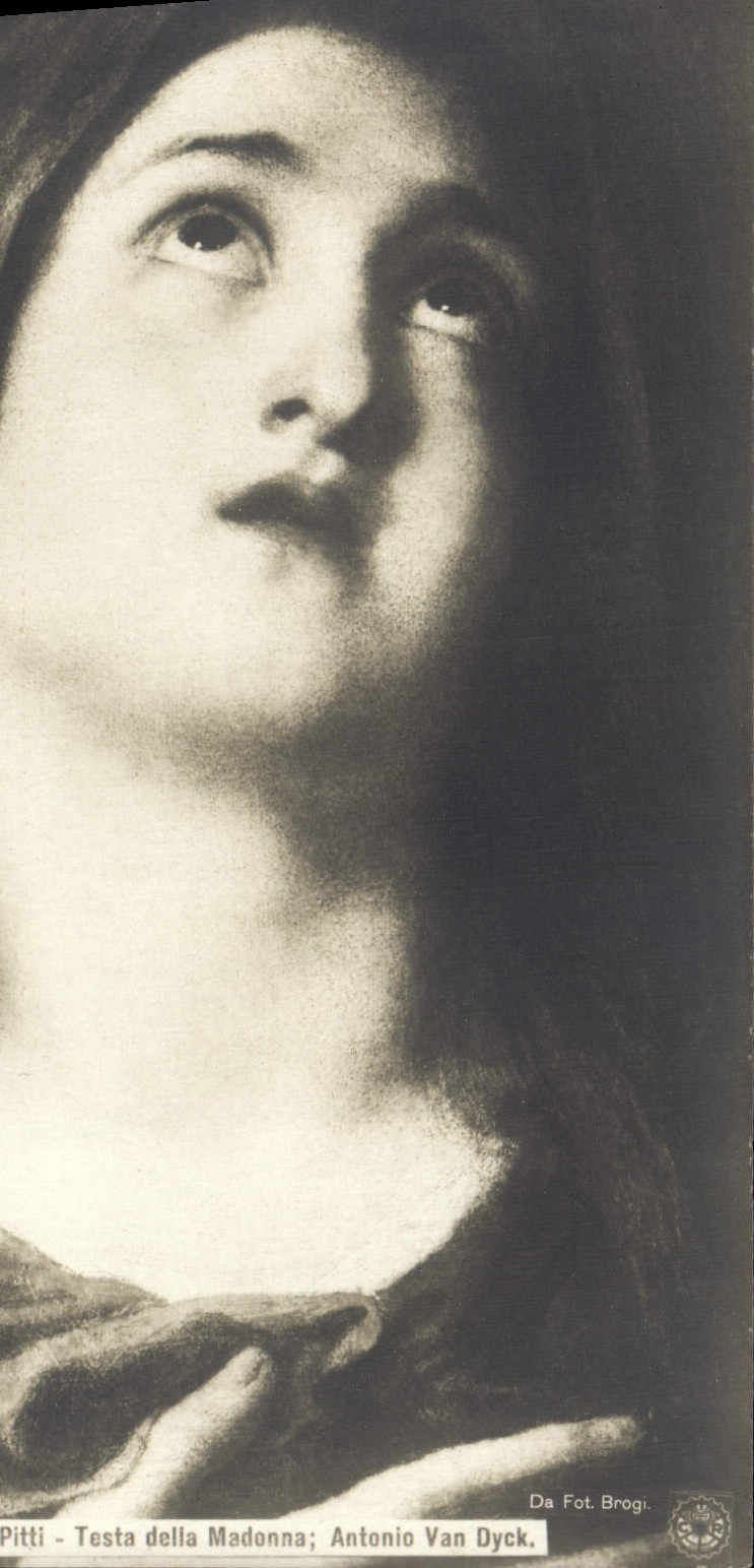 CPA Firenze Testa Della Madonna Antonio Van Dyck