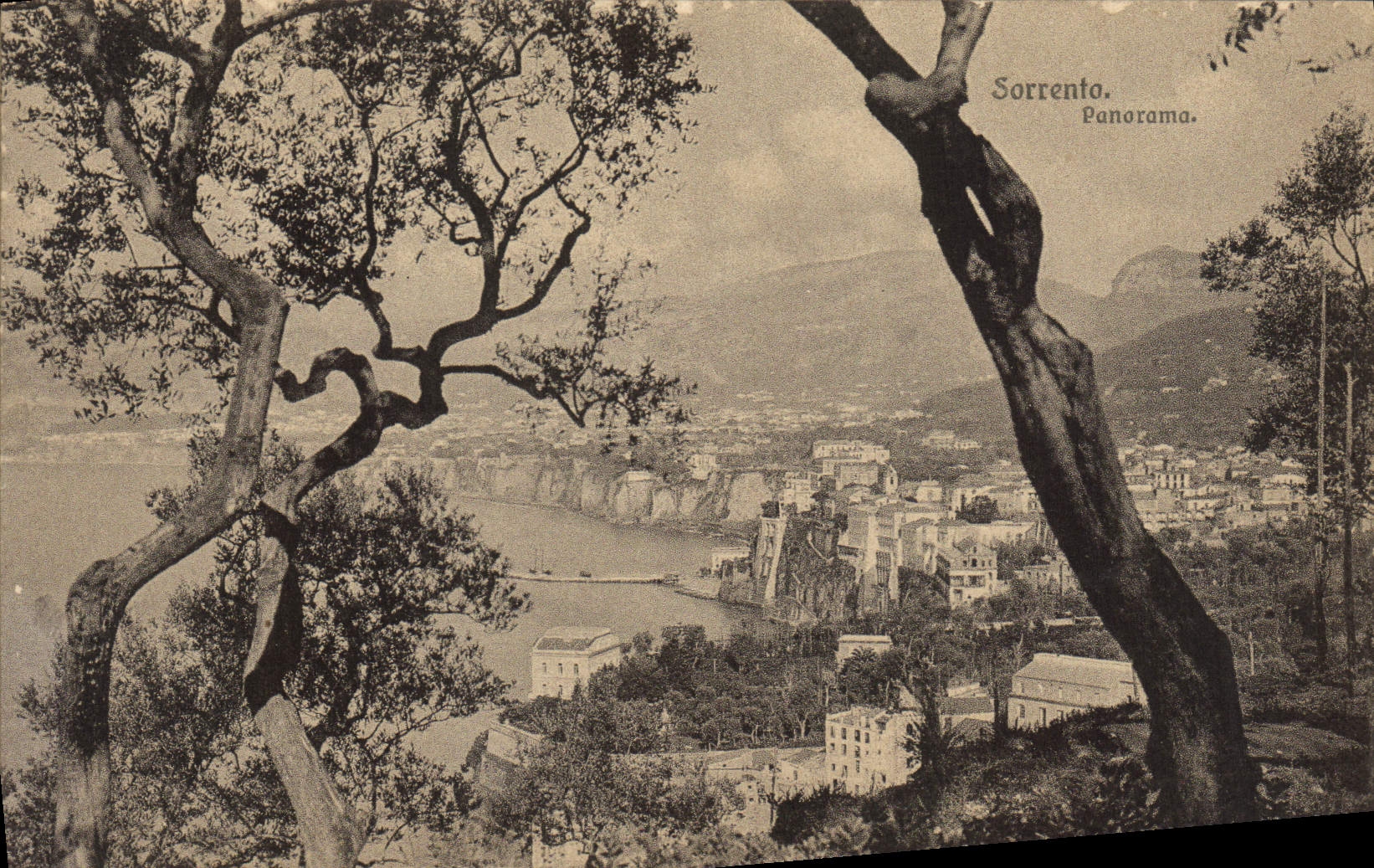 Panorama de Sorrento de la POSTAL de la VENDIMIA