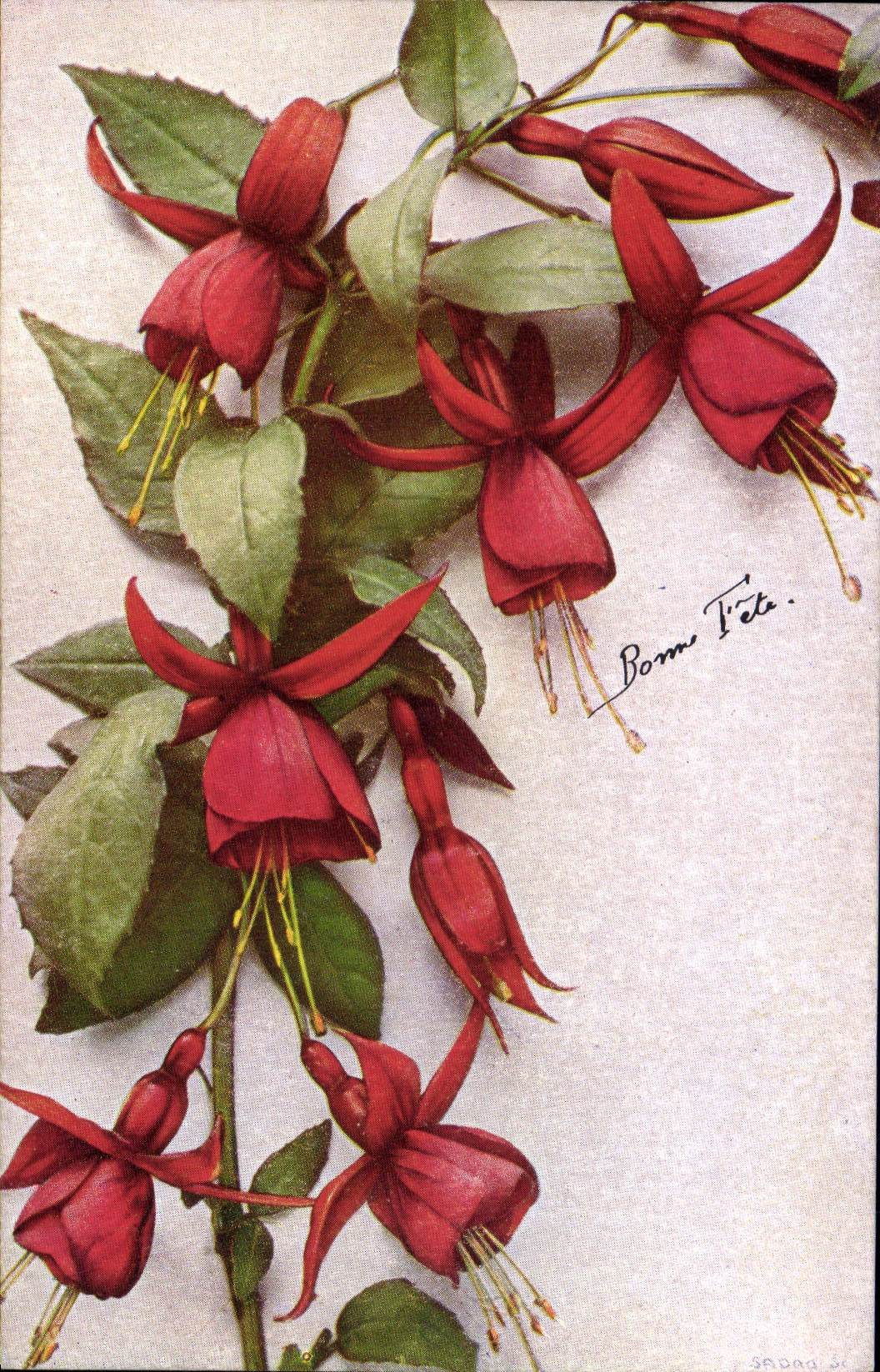 CPA Bonne Fete Fleurs