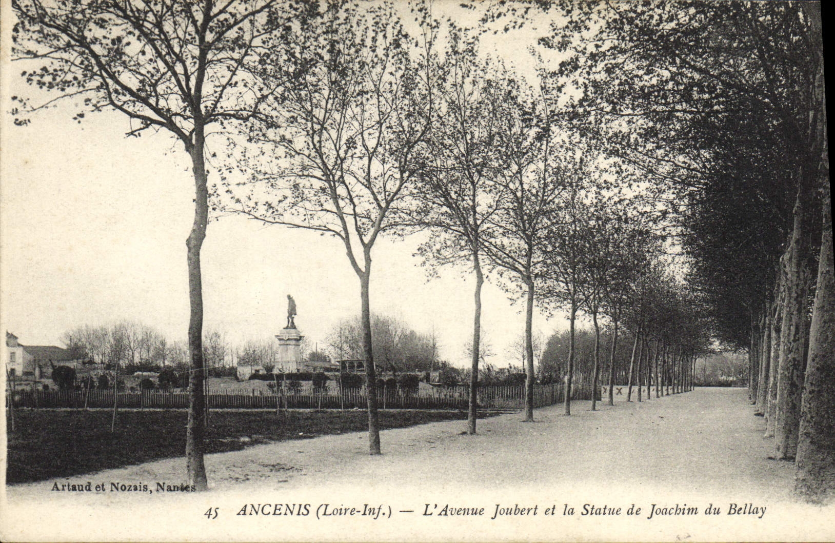 VINTAGE POSTCARD Ancenis the Joubert Avenue And the Statue De Joacbim Of Bellay